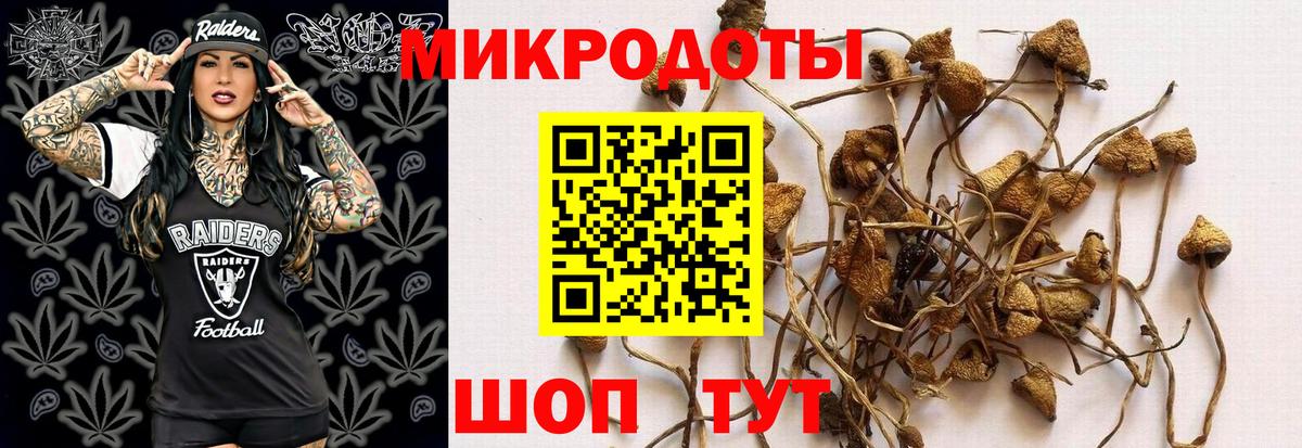 Псилоцибиновые грибы мухоморы Куйбышев